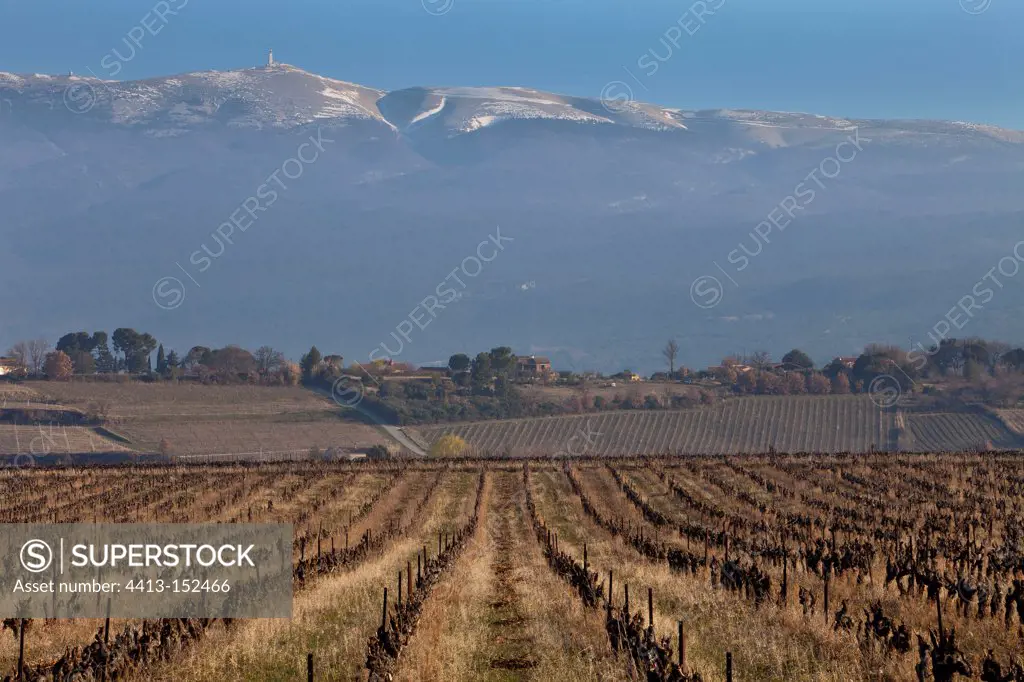 The Mont Ventoux in winter Provence France