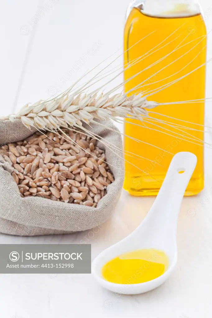 Seeds in bag Ear and Oil of Wheat Sprout on white background