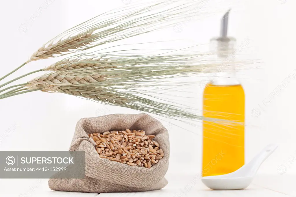 Seeds in bag Ear and Oil of Wheat Sprout on white background