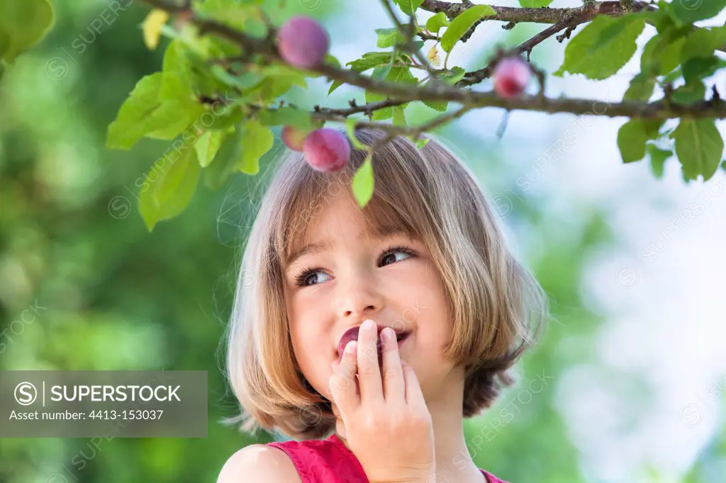 Girl eating a plum 'Quetsche' in a gardenFrance