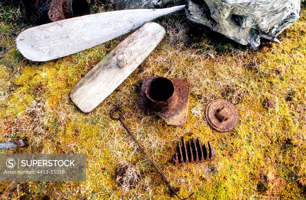 Relics close to a hut of trapper Prins Carls Forland