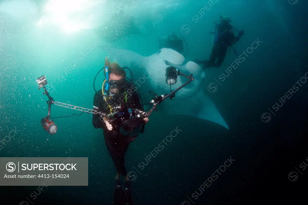 Divers and Manta ray Baa Atoll Maldives