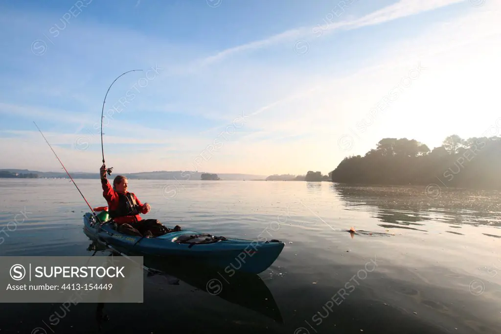 Sport fishing for sharks in a river estuary in Brittany