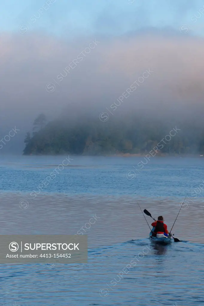Sport shark fishing in a river estuary in Brittany France