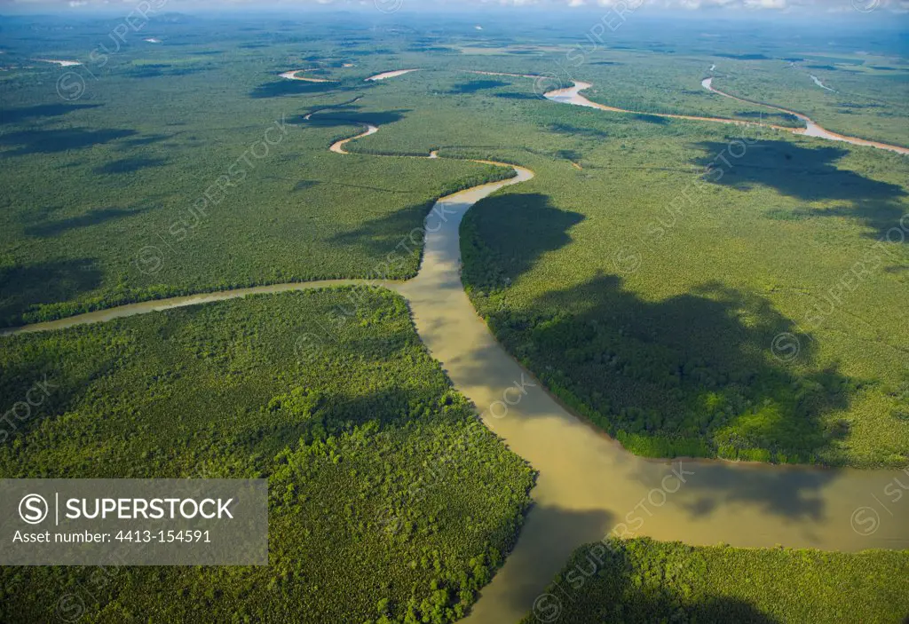 Kinabatangan River in Borneo Malaysia primary forest