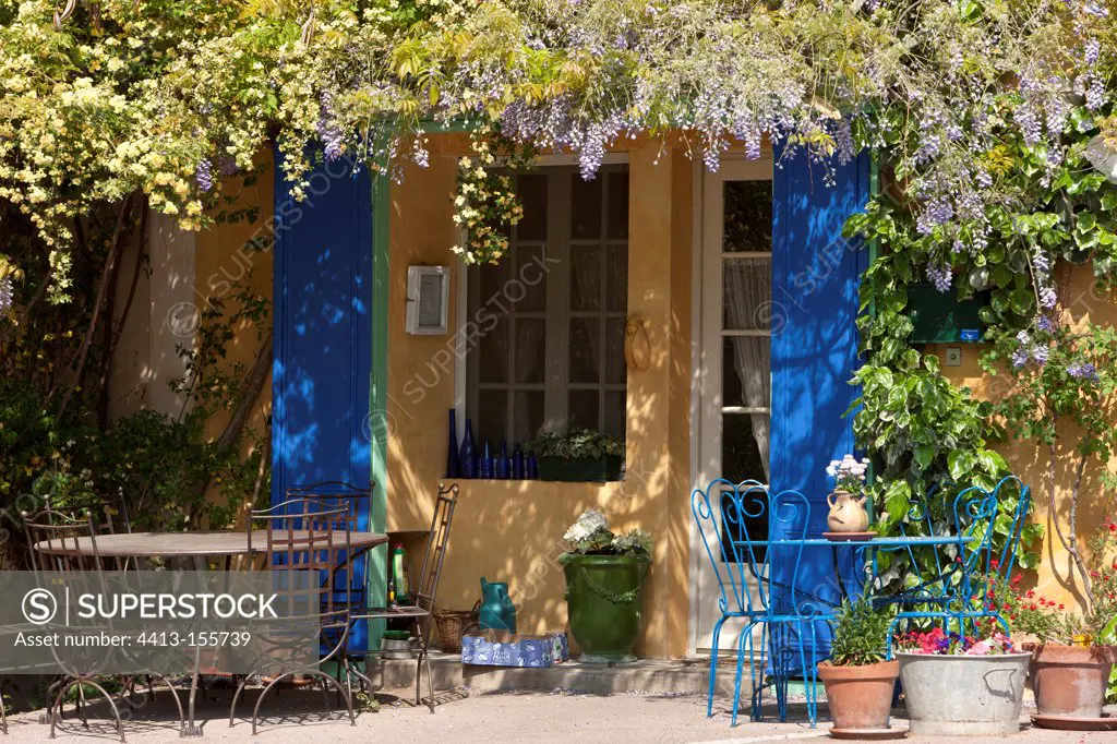 Maison en Provence with wisteria and Lady Banks roses