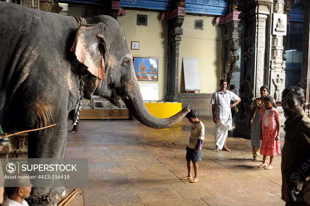 Sri Meenakshi temple in Madurai India