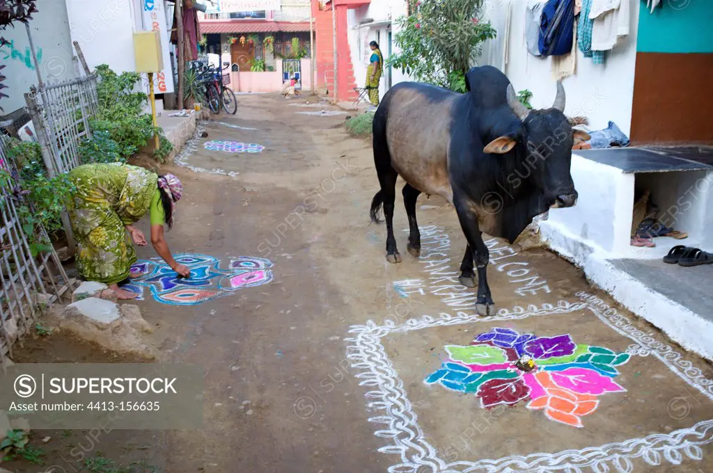 Bull walking down a street of Hampi in India