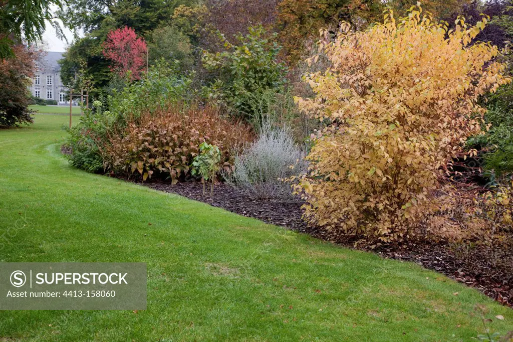 Shrubs in a park with lawn in autumn