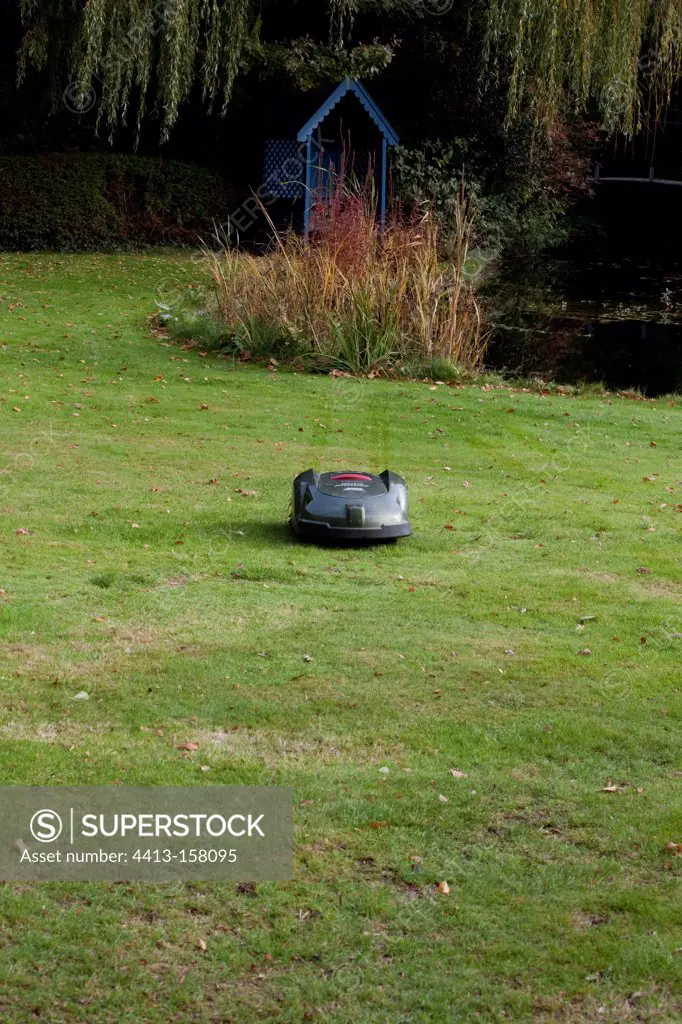 Autonomous robot mower cutting the grass in autumn