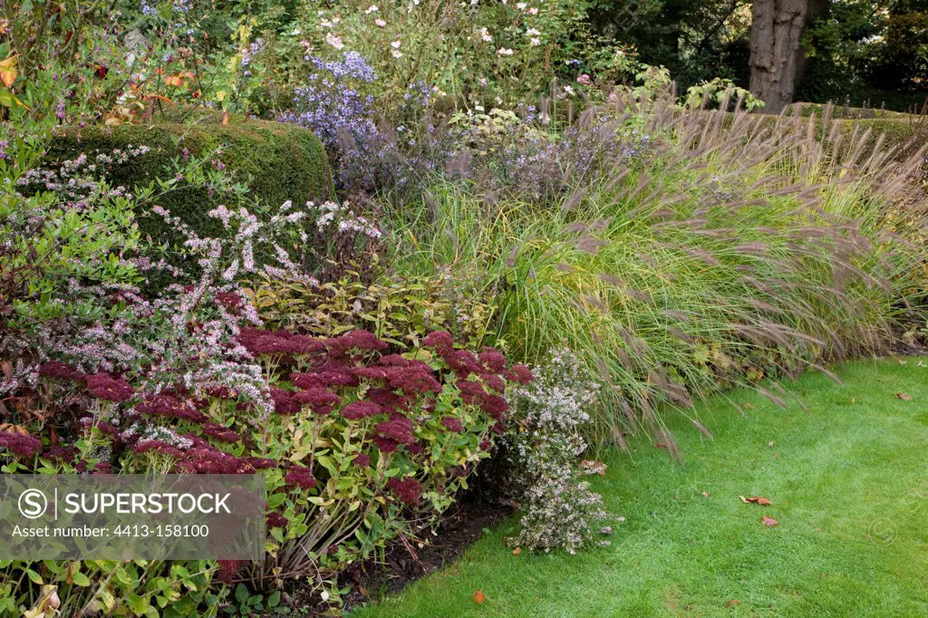 Mixed-border in a garden in autumn