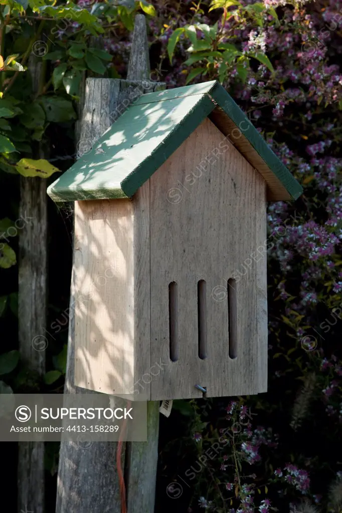 Butterfly shelter in a garden