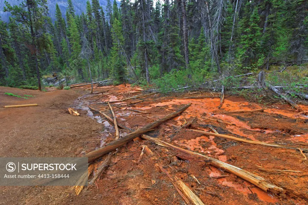 Creek carting ocher powder PN Kootenay in Canada