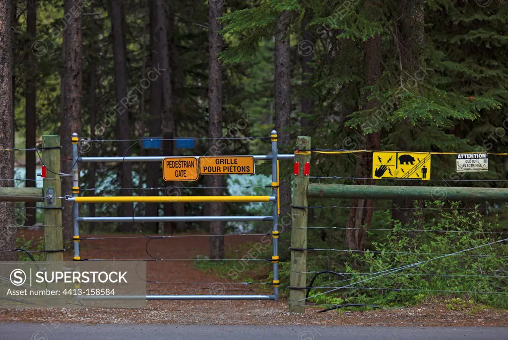 Electrified fence of the camp against Bear Canada