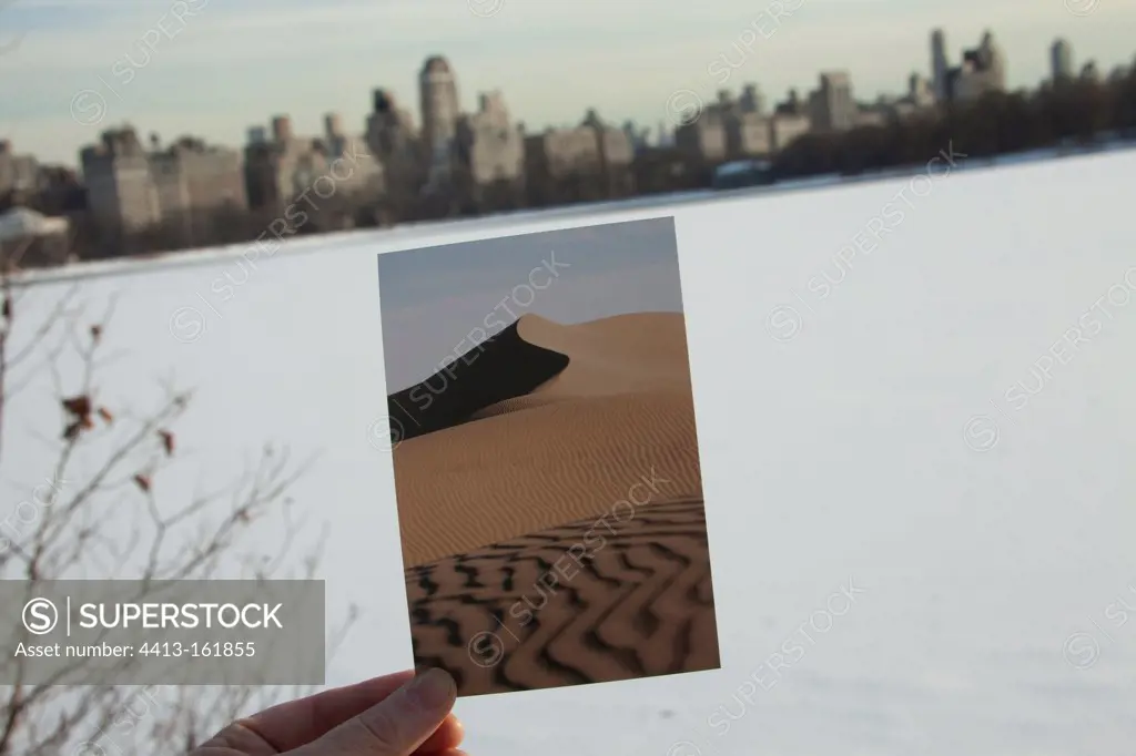 Photo of desert shown in Central Park in Winter New York