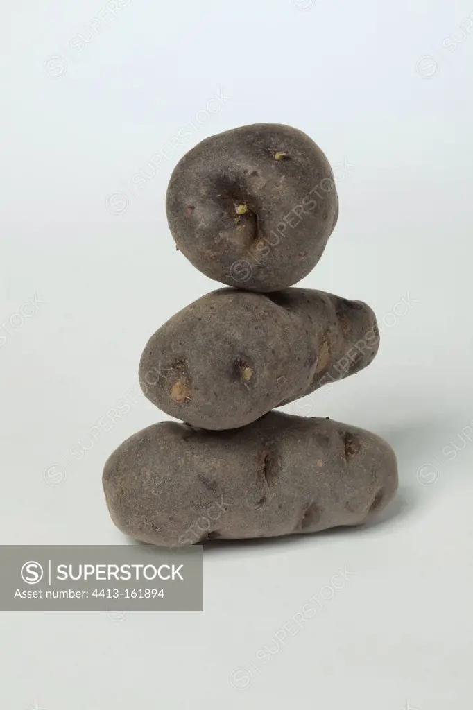 'Vitelotte' potatoes