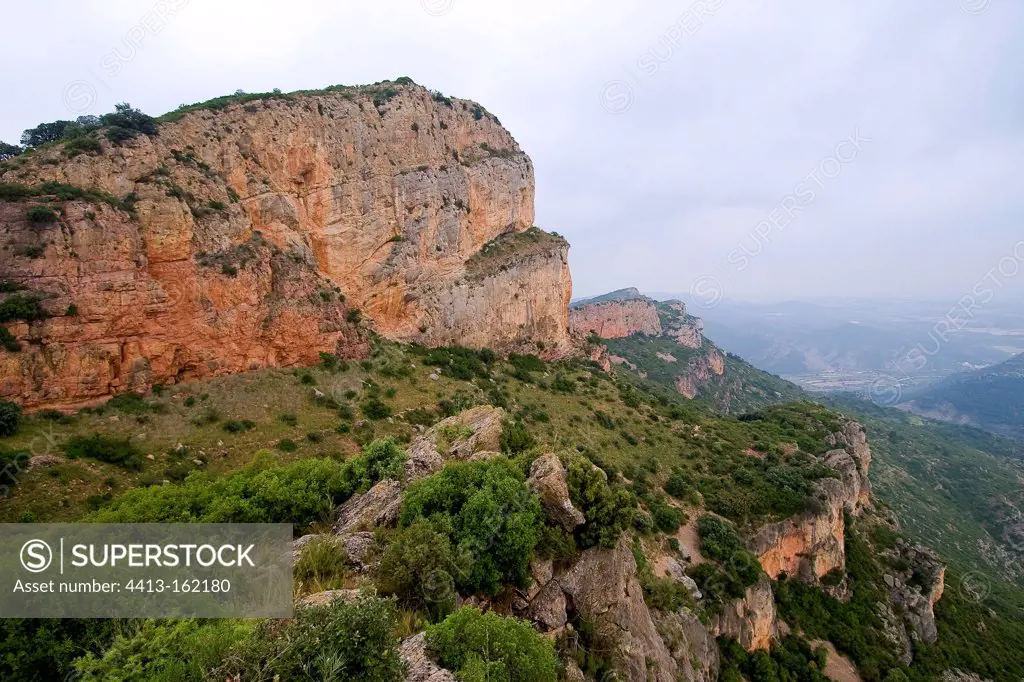 Holly Oaks and limestone cliffs Serra Montroig Spain