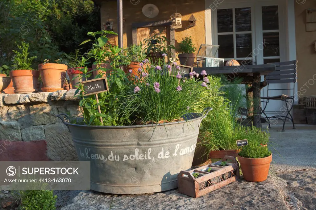 Herbs plants in a basine with slate signs France