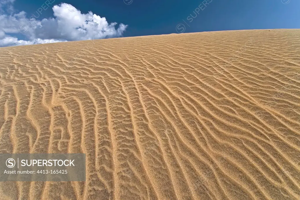 Dunes at Dunas de Masalomas reserve in Canary Islands