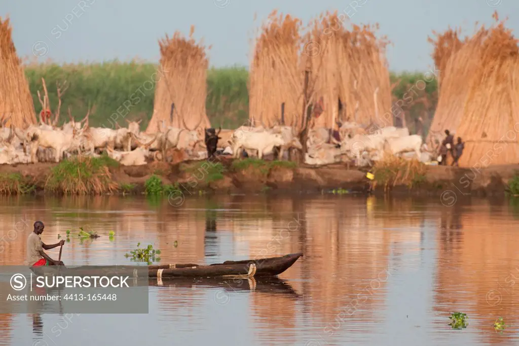 Dinka cattle camp on the bank of the White Nile Sudan