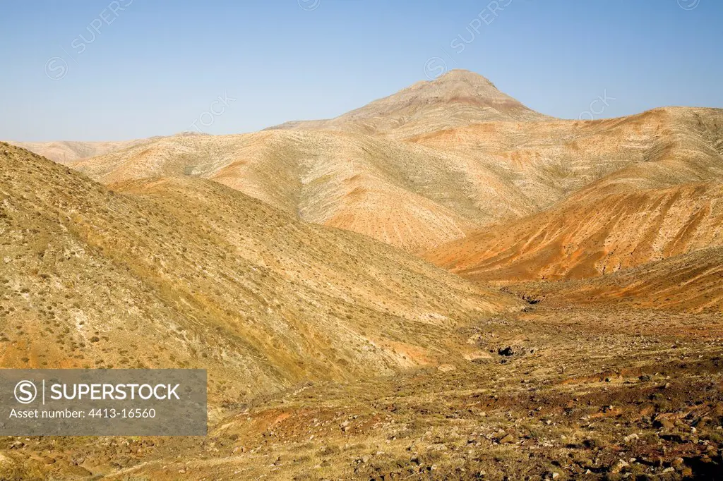 Arid landscape of the center of the island Fuerteventura Canar