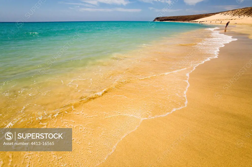 One of last the beaches preserved Fuerteventura Canary