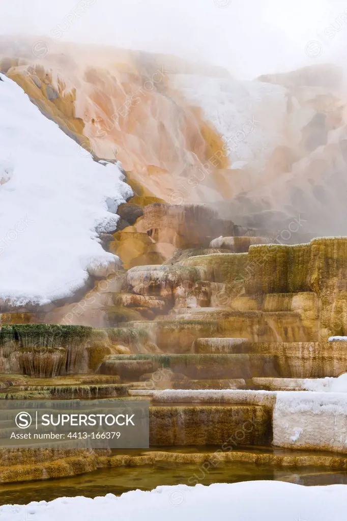 Concretions of sulfur in winter in Yellowstone NP