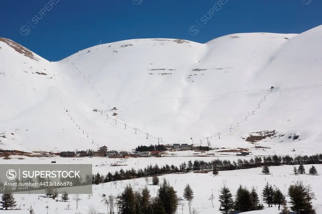 Ski 'Cedars' Lebanon Mount Lebanon