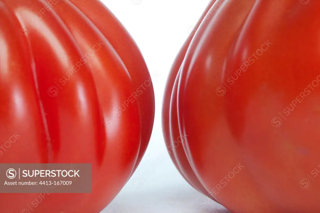 Tomatoes 'Coeur de boeuf' in studio