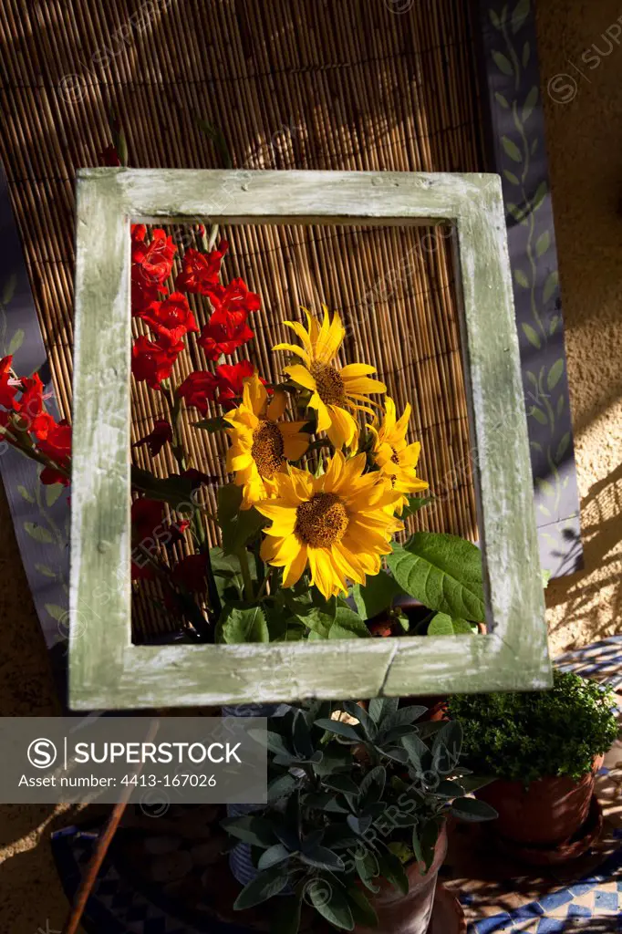 Framed sunflowers bouquet on a terrace