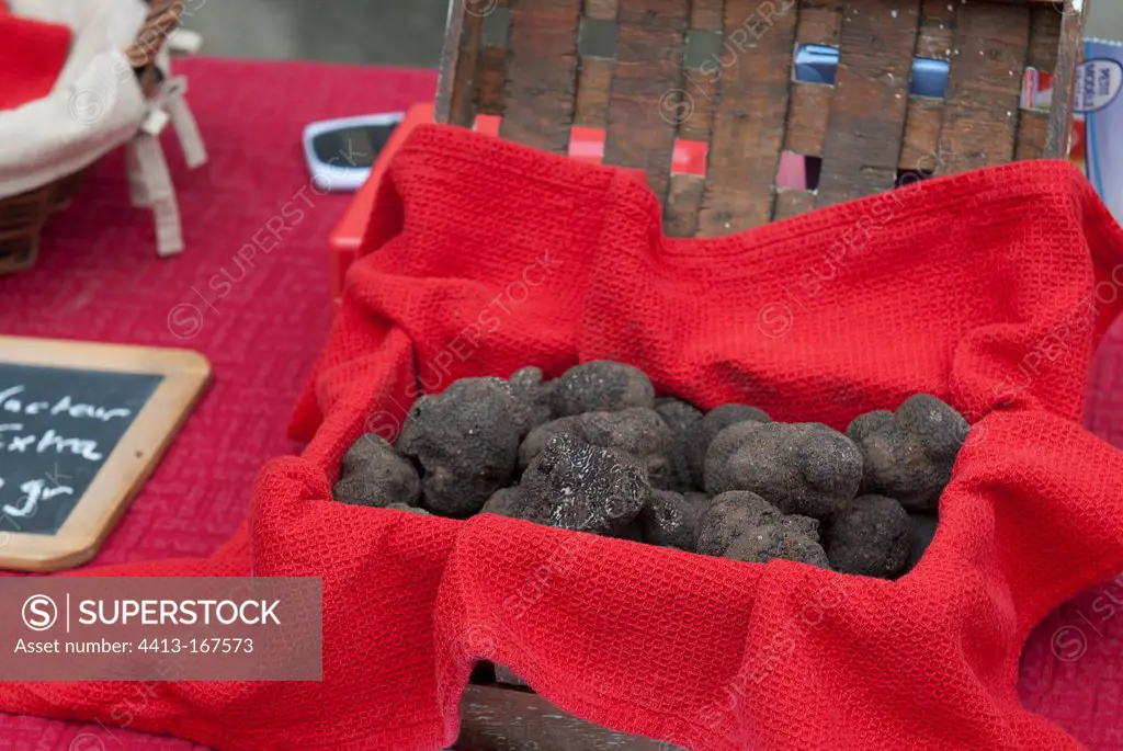 Sale of black truffles Places aux Herbes Uzes France