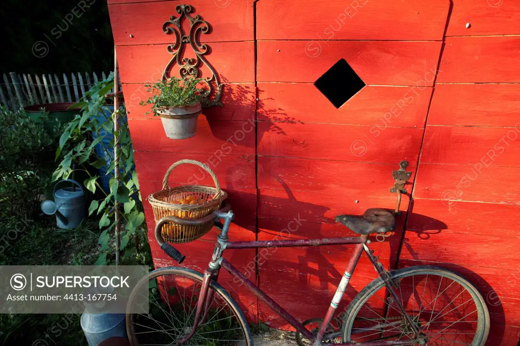 Bicycle and garden shed in a kitchen garden
