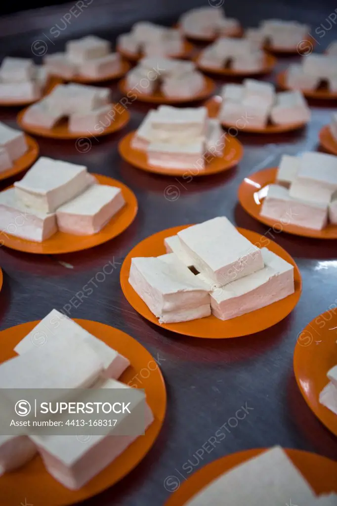 Tofu cut into cubes in a stall plates of Malaysia