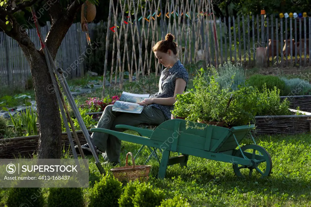 Young girl with wheelbarrow in an aromatic plants garden