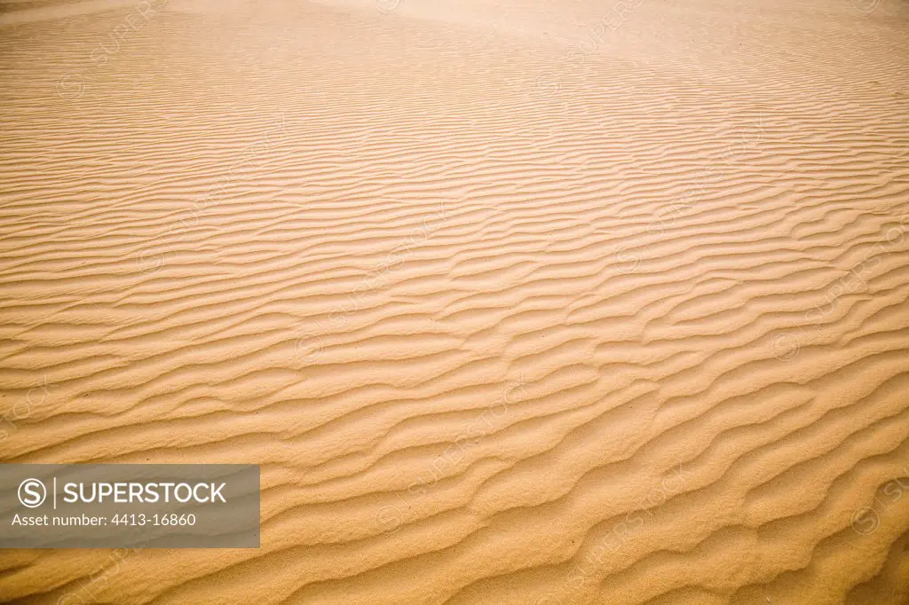 Undulations on the sand Tenere desert Niger