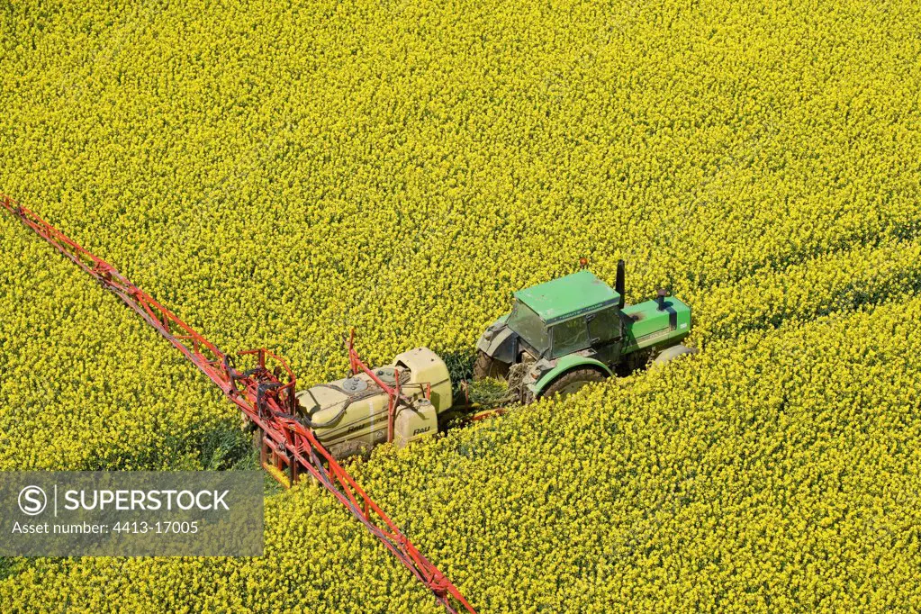 Air shot of a tractor in a field of Colza in flower