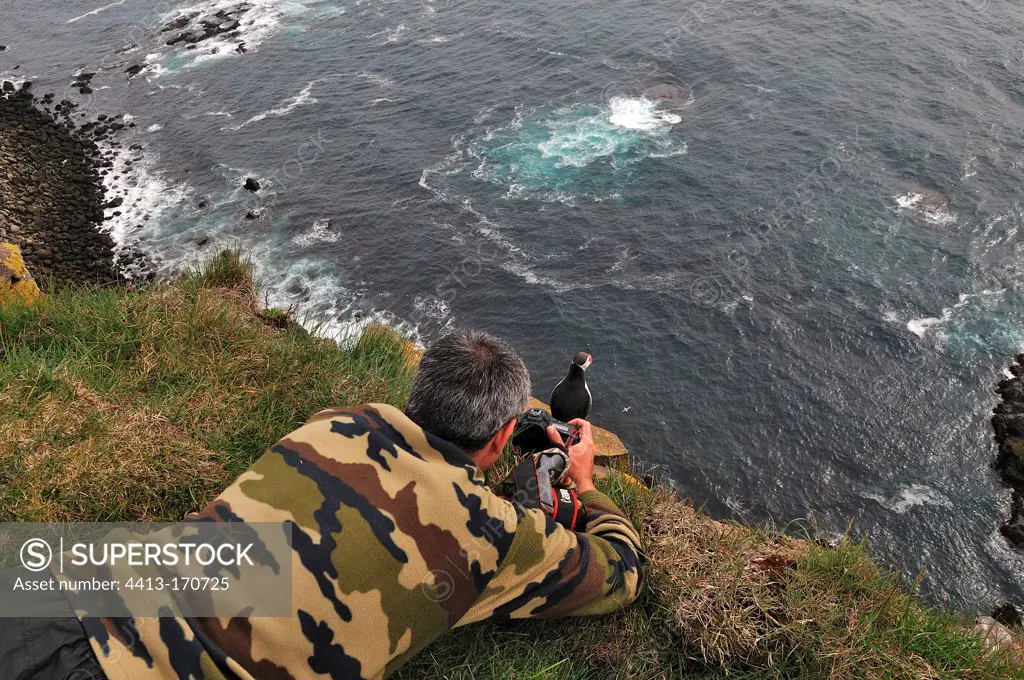 Photographer and Puffins on cliff Latrabjarg Iceland