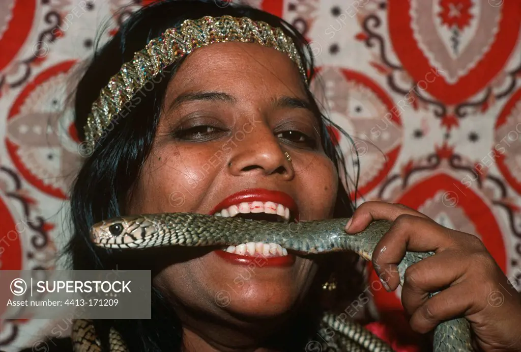 Girl snake charmer holding a Cobra in her mouth in India