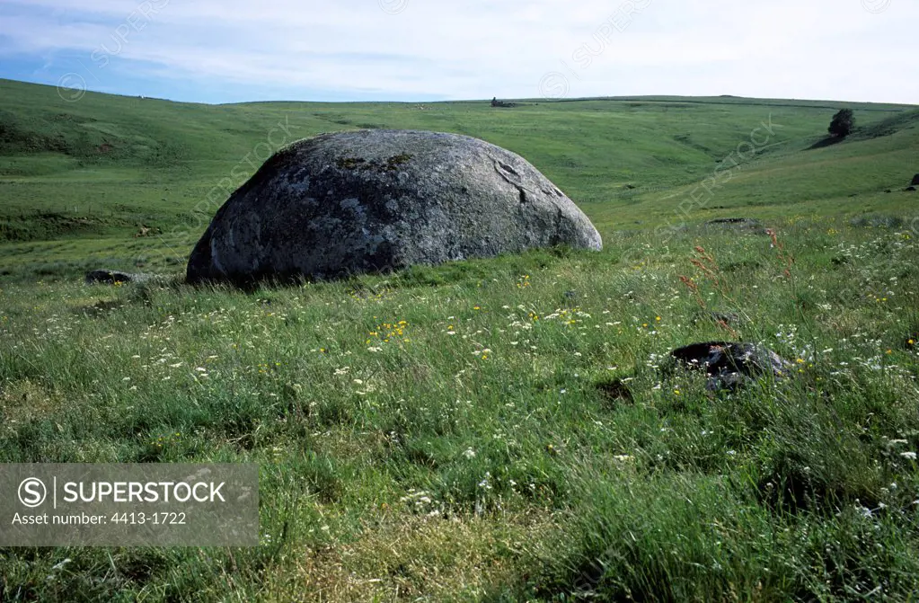 Granite block eroded by glacial polish in a meadow