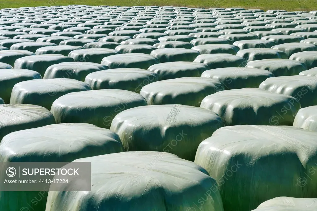 Multitude of haystacks France