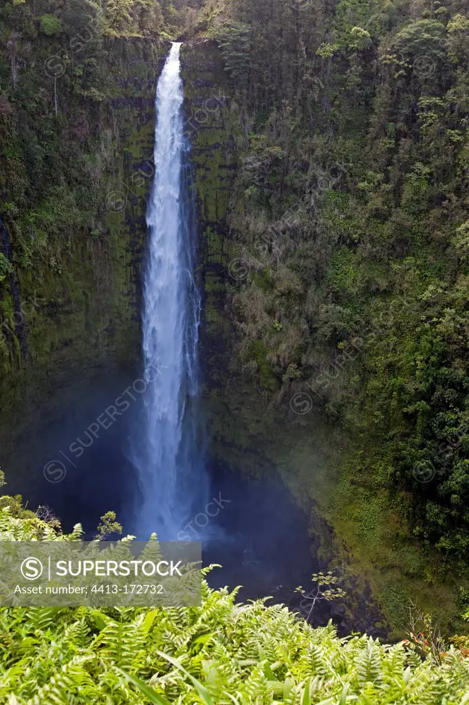 Akaka falls on the Hamakua Coast of Hawaii Island