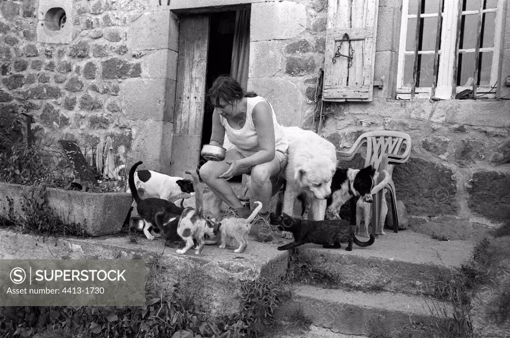 Woman feeding dogs and cats