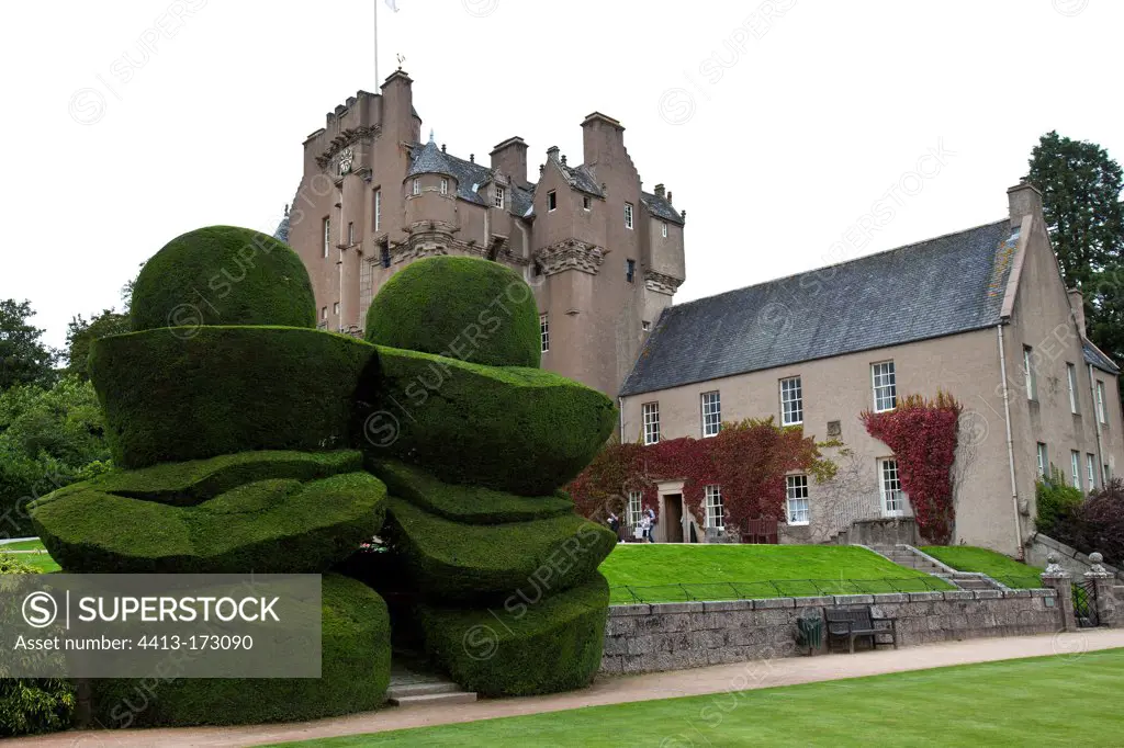 Yew Crathes Castle Gardens Highland Scotland