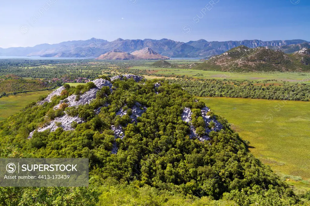 Hill and wetlands in the NP of Skadar lake in Montenegro