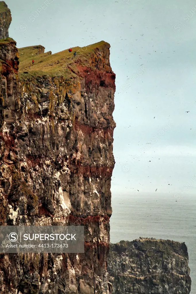 Latrabjarg cliffs northwest of Iceland