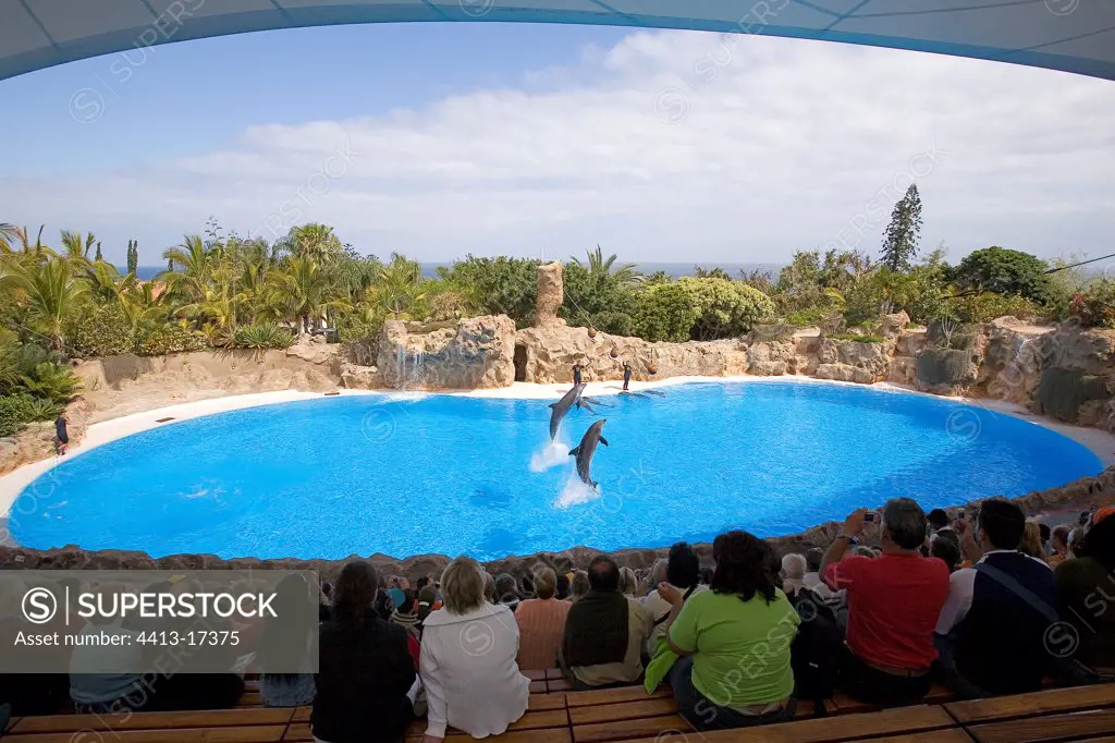 Spectacle of dolphins Zoo Loro Aquarium Parque Tenerife