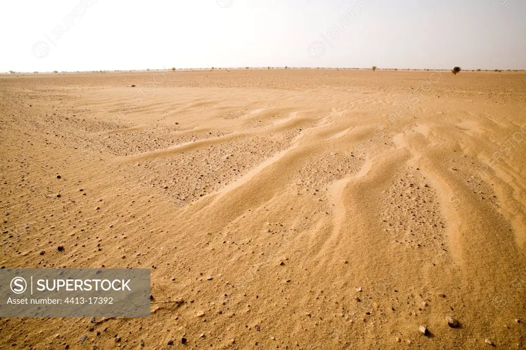 Desert of Tenere Niger