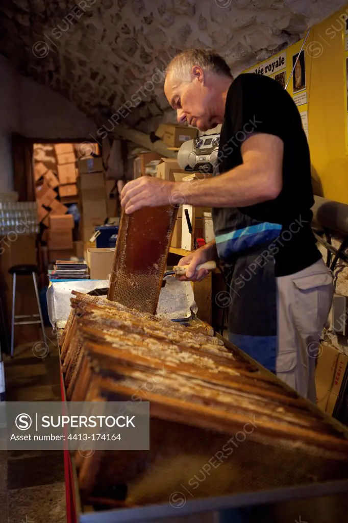 Uncapping frames up with a knife Ardeche France