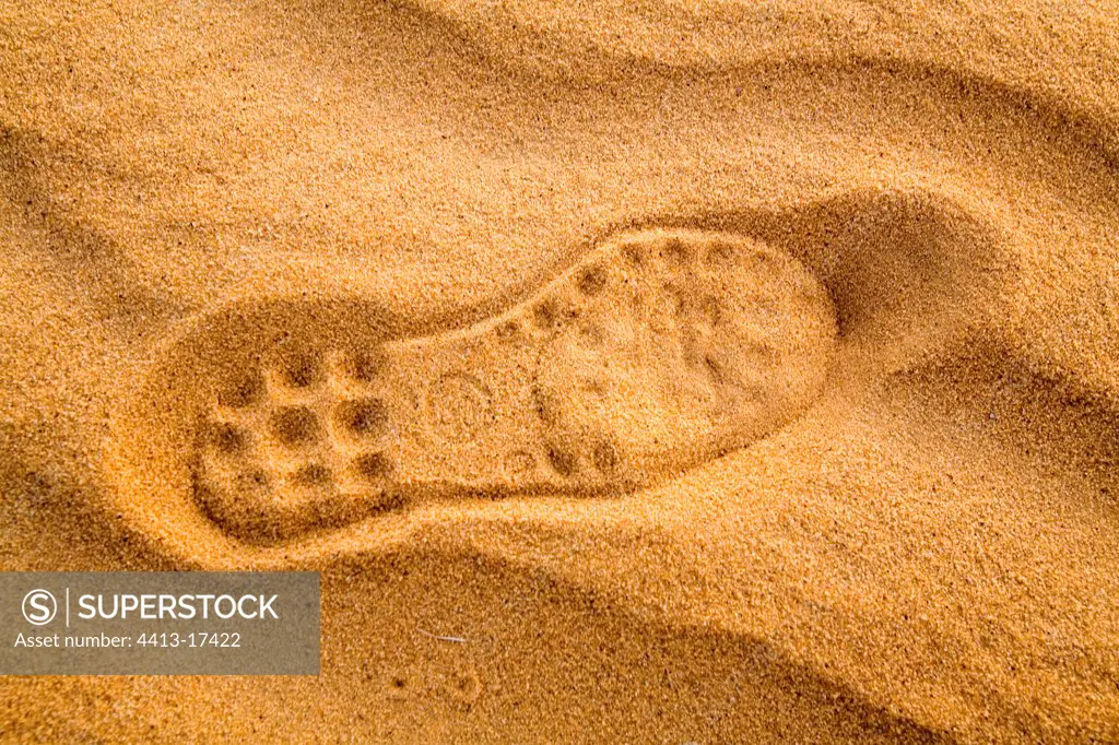 Trace of step in sand Desert of Tenere Niger
