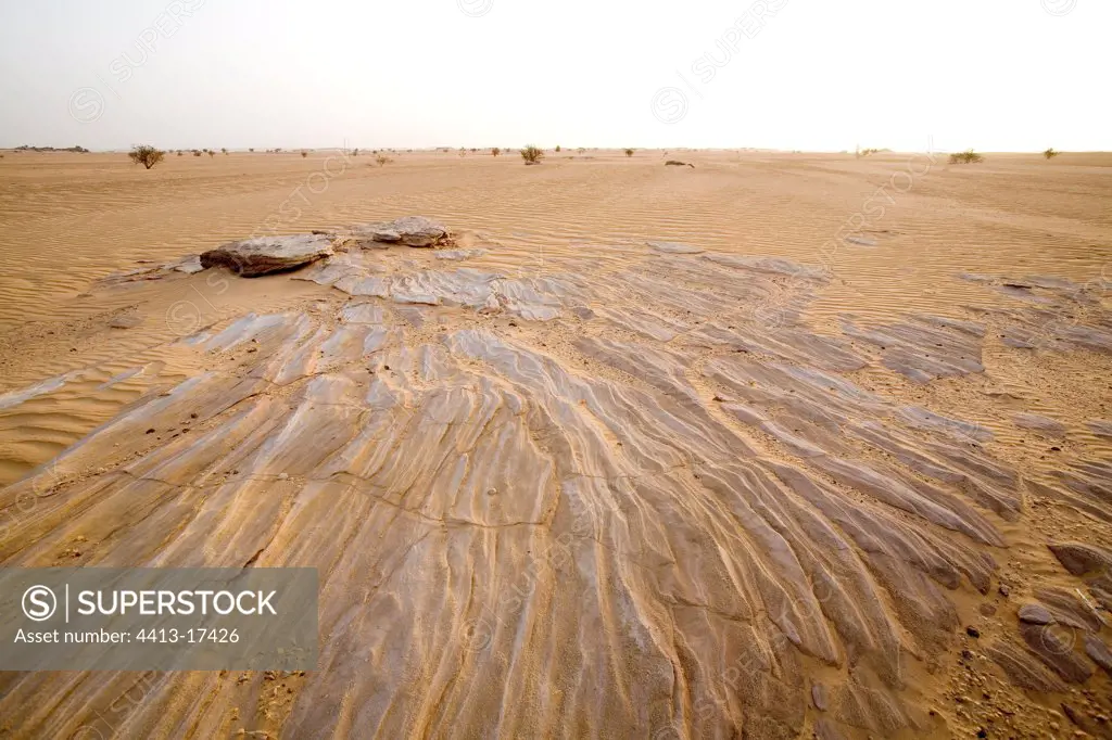 Desert of Tenere Niger